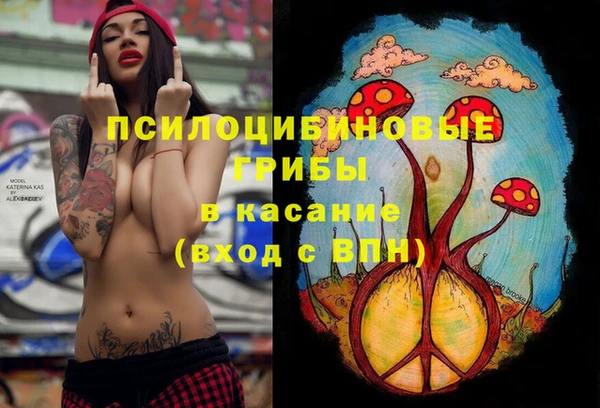 круглые Алексеевка