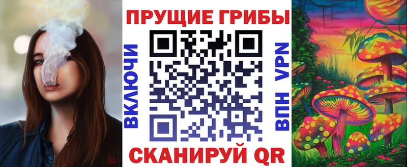 Галлюциногенные грибы Psilocybine cubensis  MEGA ТОР  Грязовец 